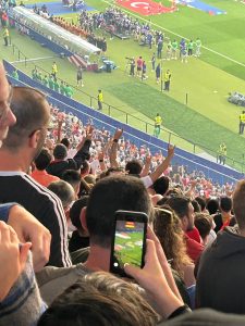 Tausende Türken zeigten beim Viertefinalspiel der Türkei gegen die Niederlande den Wolfsgruß